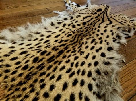 American Cheetah Original Fur At 1stdibs