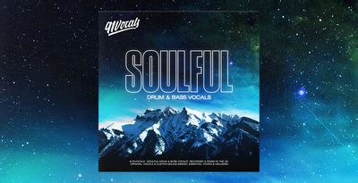 Soulful Drum & Bass Vocals, 91Vocals, Royalty-Free Samples, Premium