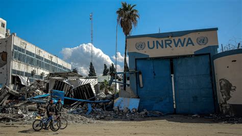 War on Gaza: Germany to resume funding Unrwa in Gaza | Middle East Eye