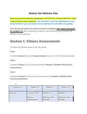 Copy Of Wellness Plan Rtf Module Two Wellness Plan When You Are