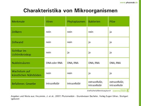 PhytoTab Tabellen Der Kategorie Viren