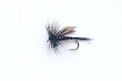 Wholesale Flies