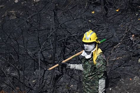 Colombia Incendios Devastadores Dejan Más De 17 Mil Hectáreas De