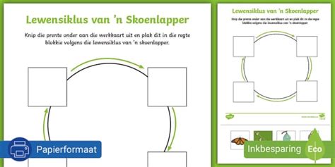 Skoenlapper Lewensiklus Aktiwiteitsblad Teacher Made