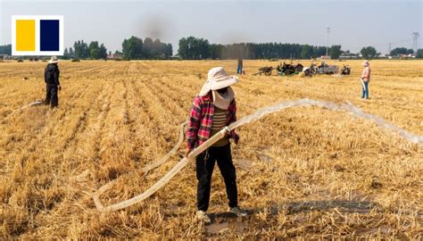 Extreme Drought Affects Nearly 300 Million In China Threatens Crops South China Morning Post