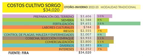 Costos de producción 2022 2023 Sorgo Panorama AGROPECUARIO