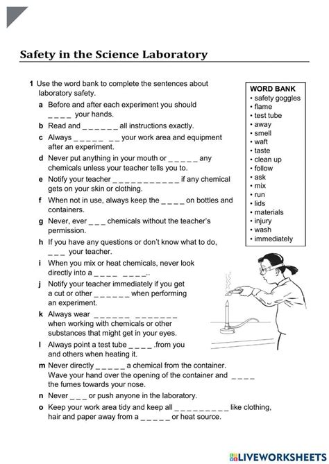 Lab Equipment Worksheets Archives Itsy Bitsy Fun Worksheets Library