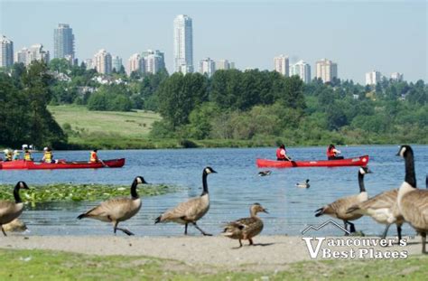 Burnaby's Deer Lake Park | Vancouver's Best Places