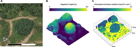 Illustration Of An Approach To Model Radiative Transfer Of A Vegetated Download Scientific