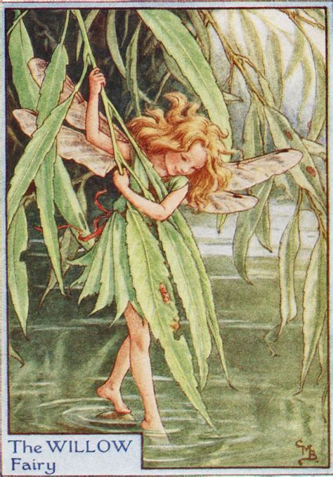 Flower Fairies The Willow Fairy Vintage Print C1930 By Cicely Etsy