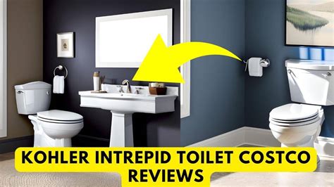 Kohler Intrepid Toilet Costco Reviews