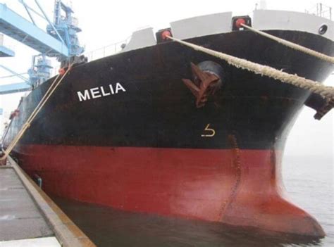 Diana Shipping Announces Time Charter Contract For Mv Melia