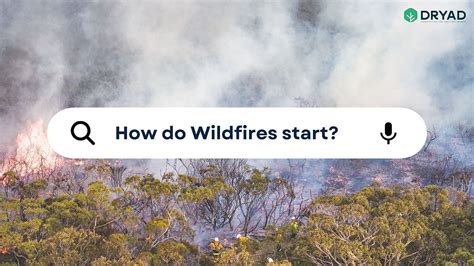 How Do Wildfires Start Exploring Causes And Impacts