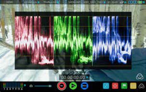 What Is The Difference Between Luma Waveform RGB Waveform Support