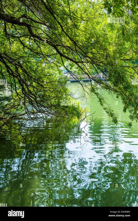 Inokashira Park, Tokyo, Japan Stock Photo - Alamy