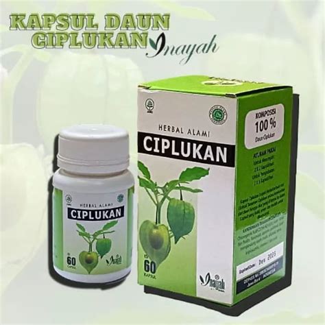 Jual KAPSUL DAUN CIPLUKAN MENGATASI DIABETES MELITUS 60 KAPSUL