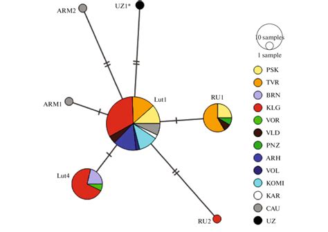 Median Joining Network Of Haplotypes Of 255 Bp Fragment Of Otter Mtdna