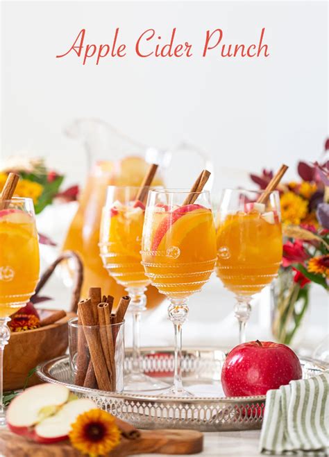 Best Fall Punch Recipes To Try