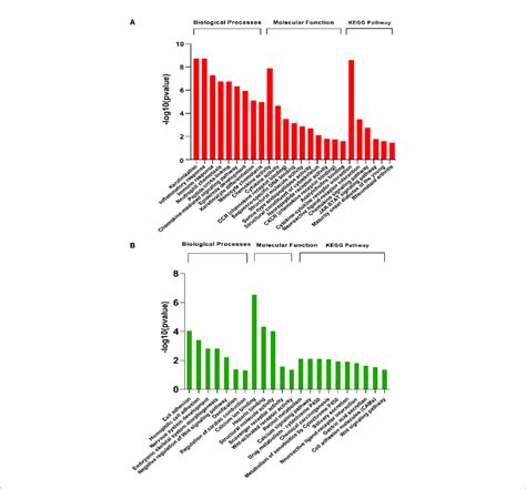 Pathway Enrichment Analysis Of Differentially Expressed Genes