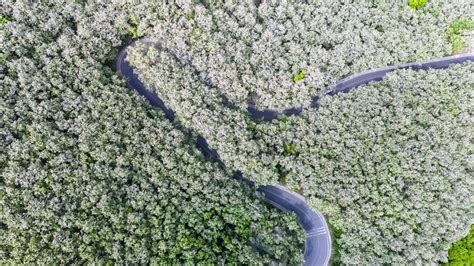 人民网聚焦日照经山历海看日照 多彩五一乐享时光 日照要闻 日照新闻网 日照第一门户网站 日照新闻 日照日报 黄海晨刊