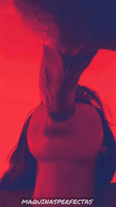 Free Live Porn Videos 2 XHamster