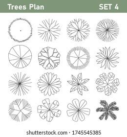 Tree Top Tree Plan Free Hand Stock Vector Royalty Free