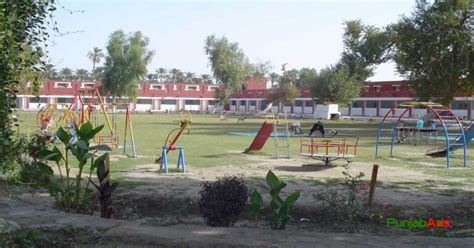 Top 10 Schools in Khairpur Mirs | Punjab Ads Blog