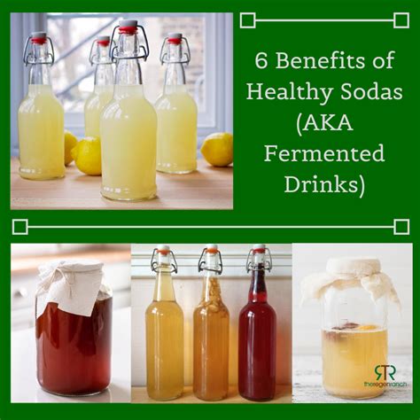 6 Benefits Of Healthy Sodas Aka Fermented Drinks — The Regen Ranch