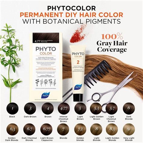 Buy Phyto Color 83 Light Golden Blonde Deals On Phyto Brand Buy Now