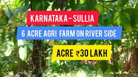 6 Acre Mixed Agri Farm For Sale On River Side Karnataka Sullia