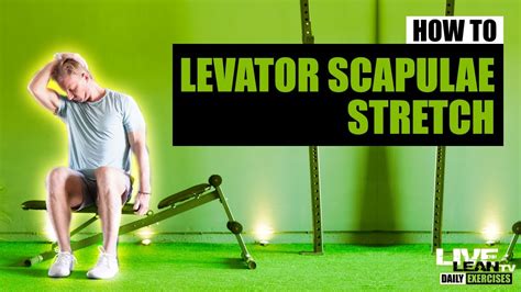 How To Do The SEATED LEVATOR SCAPULAE STRETCH Exercise Demonstration