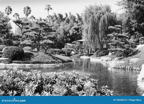 Japanese Style Garden with Pond 2 Stock Photo - Image of japanese ...