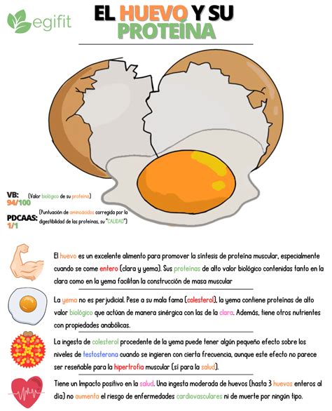 El huevo y su proteína Escuela Culturismo Natural