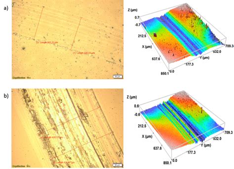 Aspects Of The Wear Track Obtained By Optical And Confocal Microscopy