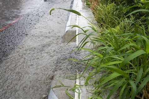 Rain Gardens During Heavy Rain Nyc Water Flickr