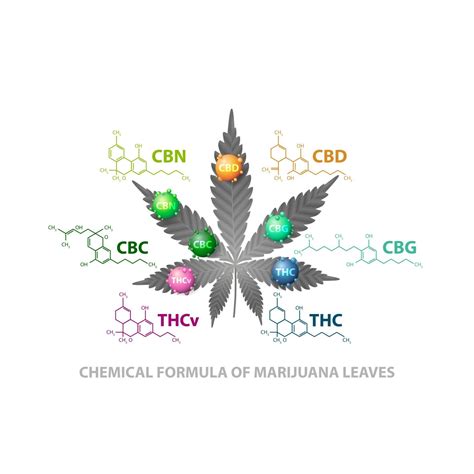 Chemical Formulas Of Natural Cannabinoids Leaf Of Cannabis With 3d