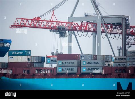 Container Ship Maersk In Port At Container Terminal Ships Of Container