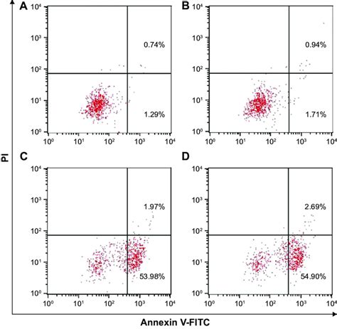 Flow Cytometric Analysis For The Cell Apoptosis After P53 Transfection