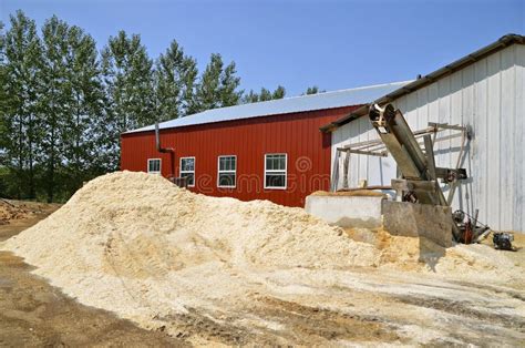 Sawdust Piles In The Sawmill Stock Photo Image Of Chip Manufacturing