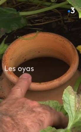 Positivr Pour Arroser Son Potager Cette Femme A Voulu Tester Les