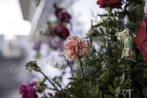 Flowers in cemetery 2858086 Stock Photo at Vecteezy