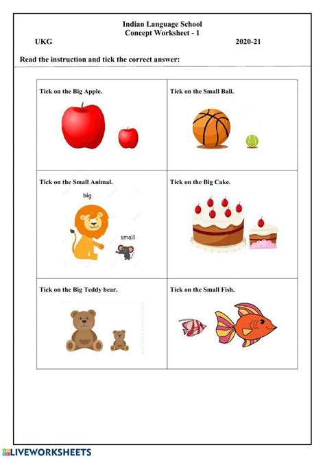 Pre Math Concepts Interactive Worksheet Live Worksheets Worksheets Library