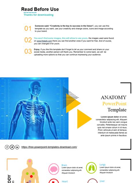 Free Anatomy Powerpoint Template | PDF | Human Body | Human Eye