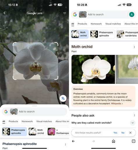 How to Do a Reverse Image Search on iPhone [Methods for iOS]