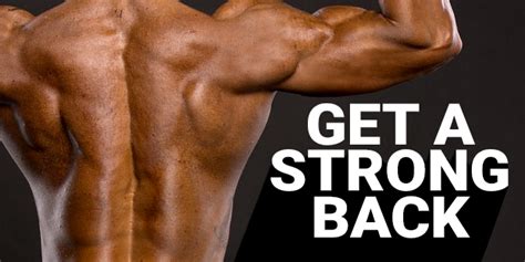 How To Define Back Muscles 5 Best Exercises Zumub