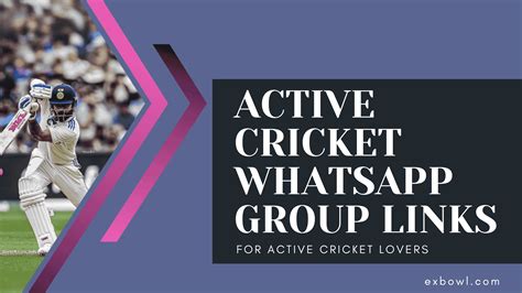 Cricket WhatsApp Group Links 2025 260 Active Cricket Groups Exbowl