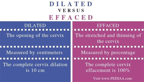 What Is The Difference Between Dilated And Effaced Pediaacom