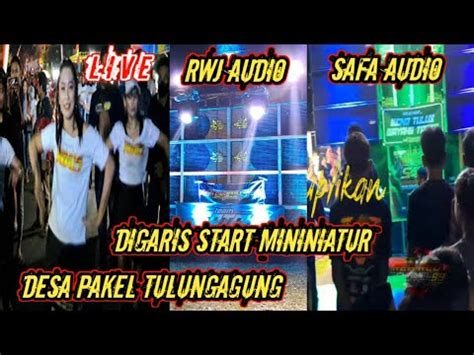 Live RWJ AUDIO Feat SAFA AUDIO Bintang Tamu Miniatur Pakel Tulungagung