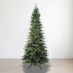 Enchanted Forest® 9' Prelit Northern Pine Artificial Christmas Tree at ...