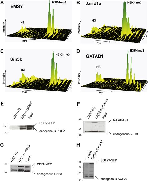 Quantitative Interaction Proteomics And Genome Wide Profiling Of